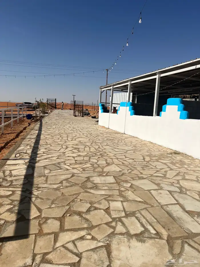 اسطبل خيل في المزاحمية 3