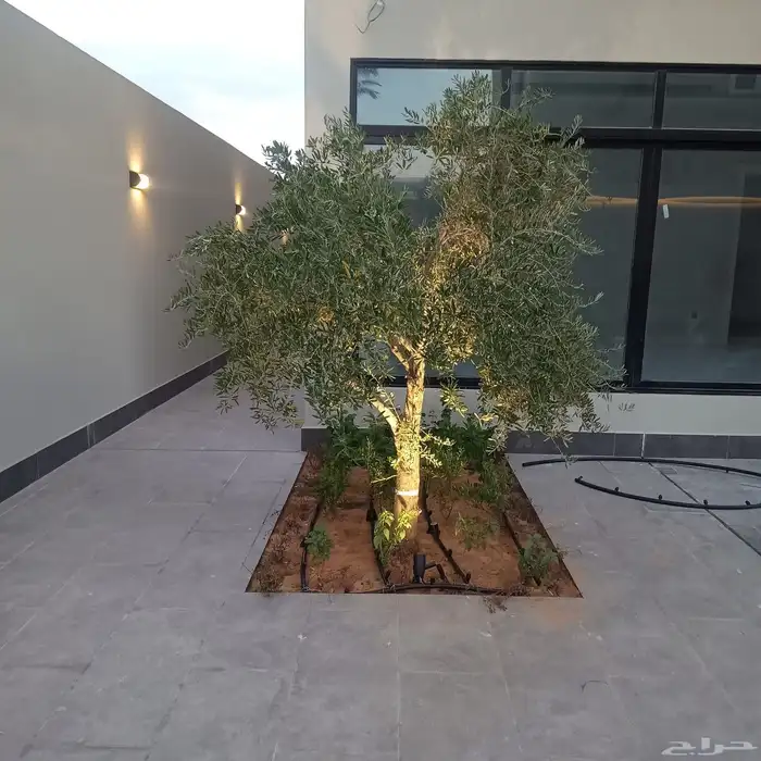 تنسيق حدائق 1