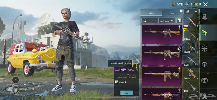 حساب ببجي 17