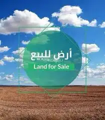 ممطلوب ارض بالقيم 0
