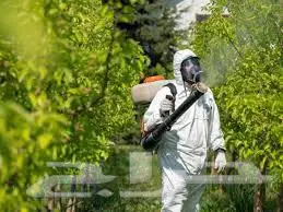 رش مبيدات شركة رش حشرات مكافحة حشرات 2