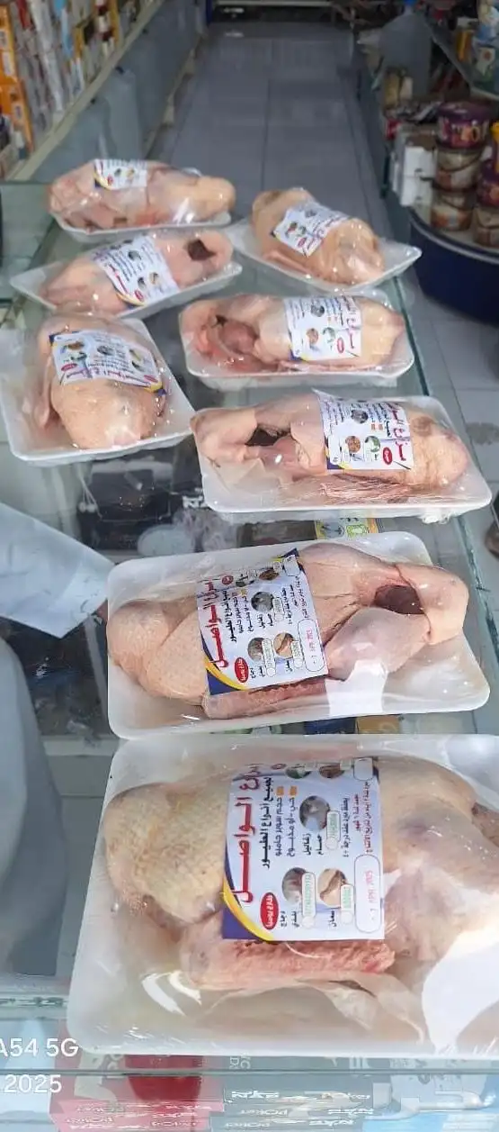 حمام فرنسي وبط ارنب سمان دجاج لحم وبلدي 2