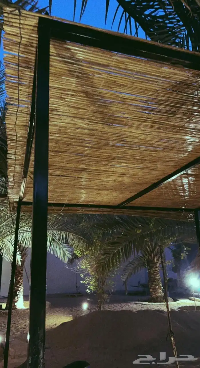 خيزران مظلات وحواجز وقش 3