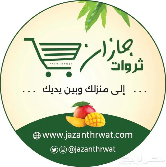 أجود المانجو من ثروات جازان لكافة أنحاء المملكة 5