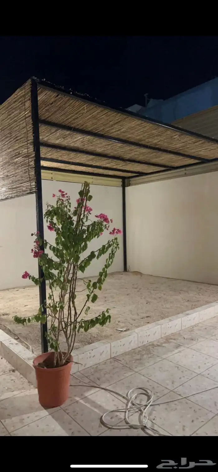 خيزران مظلات وحواجز وقش 7