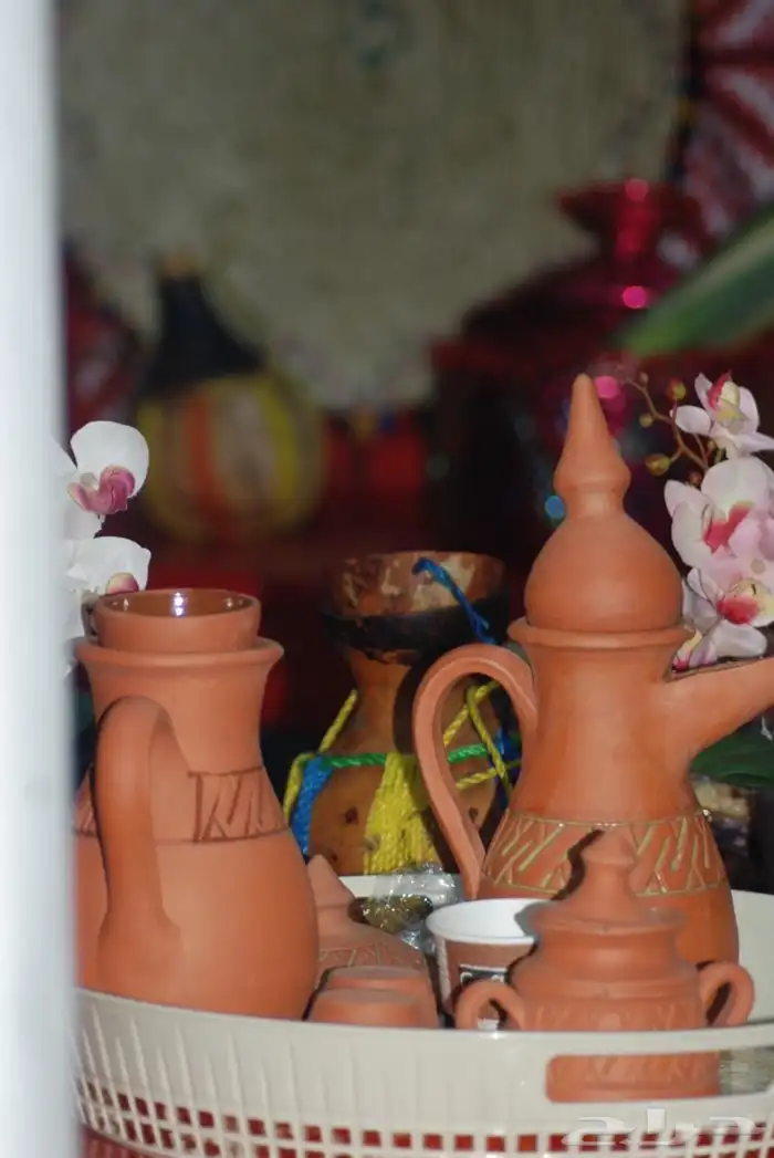 كاميرا نيكون D80احترافية 4