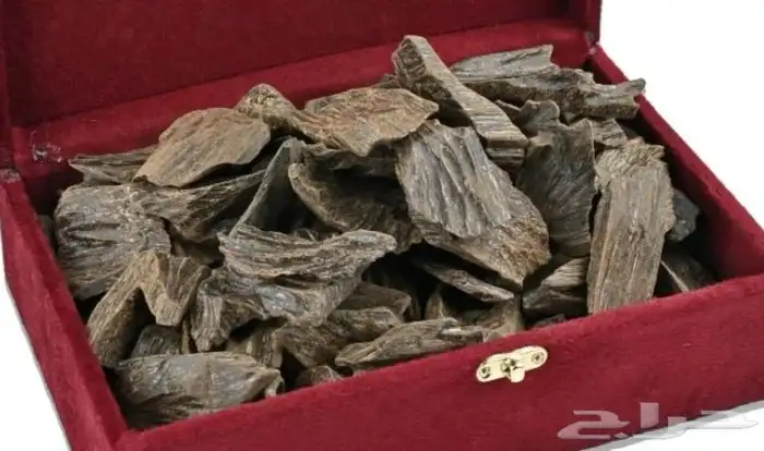 عود ازرق كلمنتان سوبر عروض اليوم الوطني 3