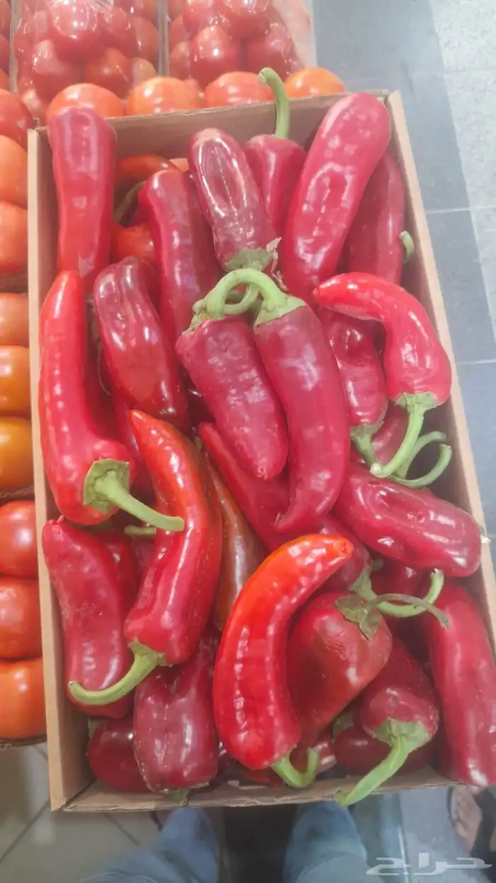 حمام فرنسي وبط ارنب سمان دجاج لحم وبلدي 0