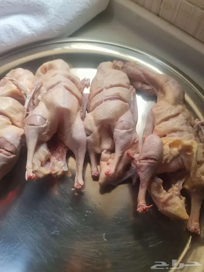 بط مذبوح وحي حسب الطلب 3