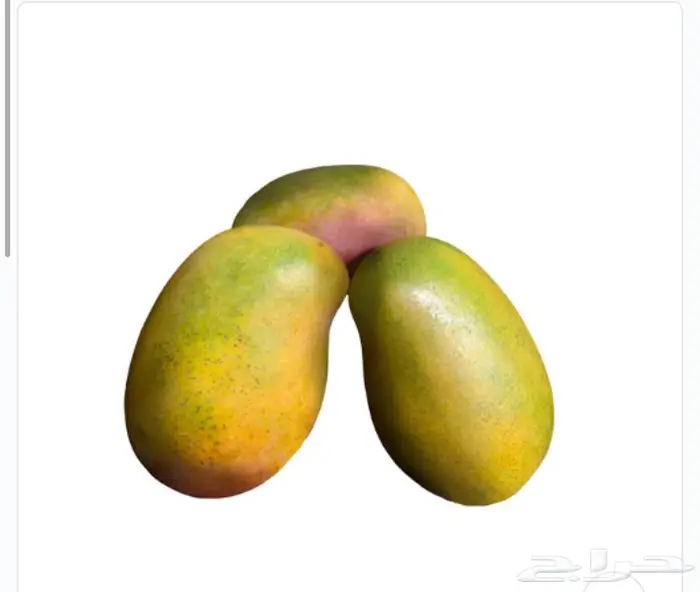 مانجو جازان 2