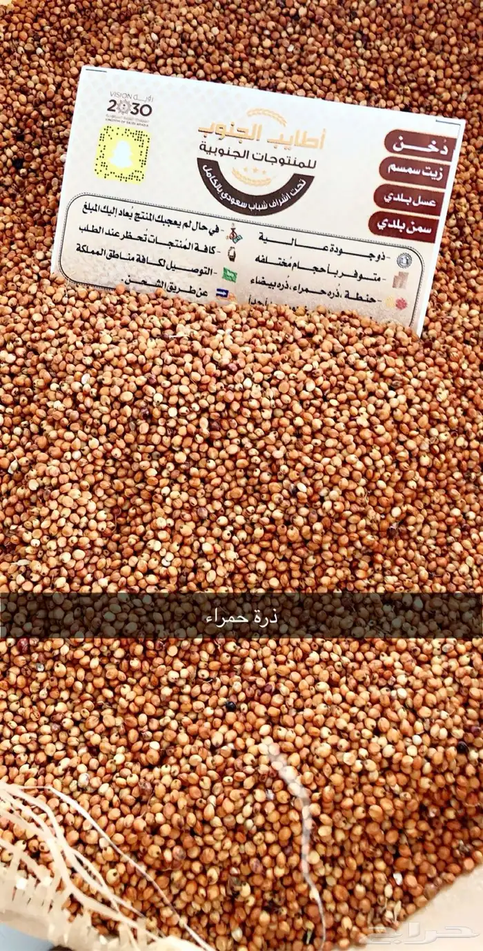 زيت سمسم بلدي من معاصرنا من الجنوب 8