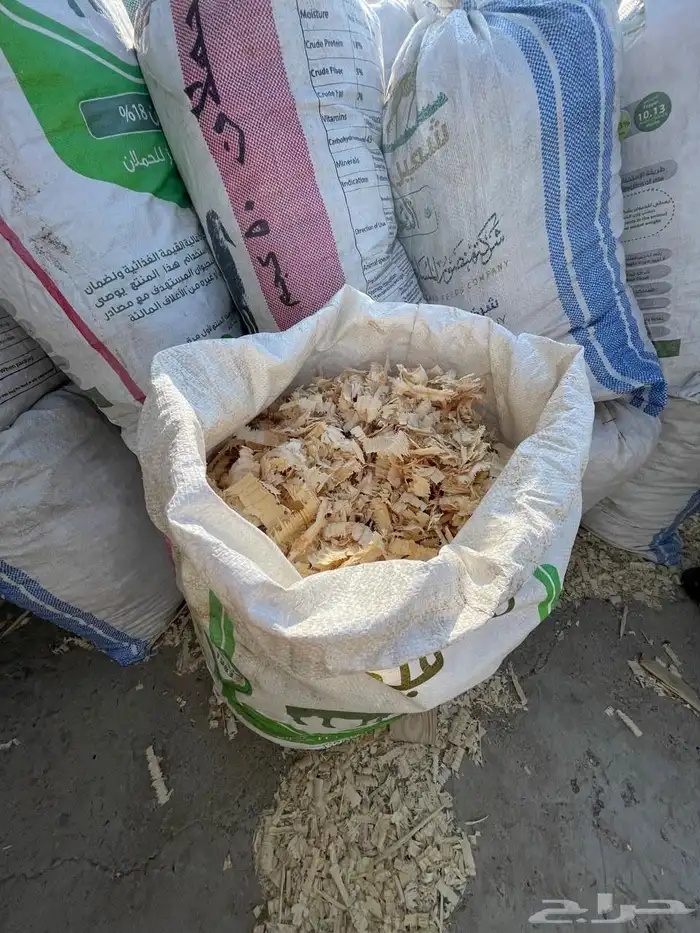 نشارة خشب للخيل 0