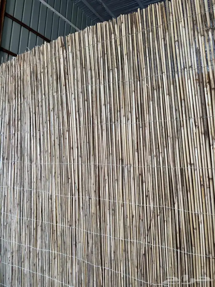 خيزران مظلات وحواجز وقش 4