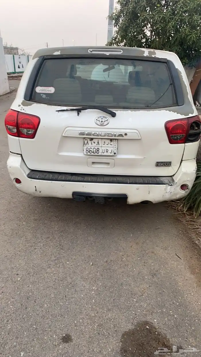 سكويا 2014 1