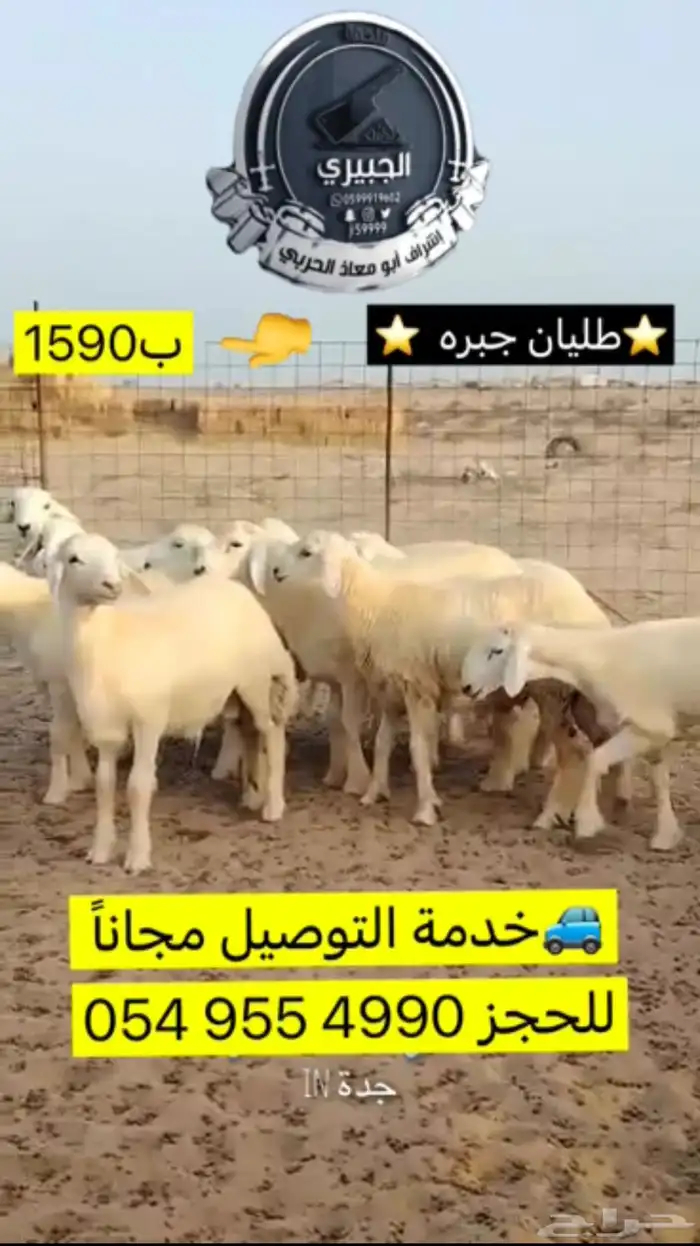 حوار حليب وحريات مناسبات وثلاجة 5