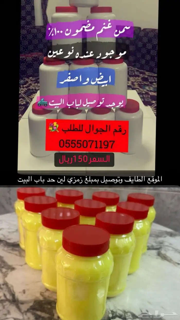 سمن غنم بري 0