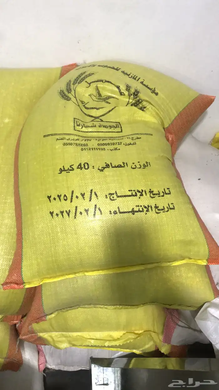 علف حمام خيشه اكل علف اعلاف طيور الشارع 0