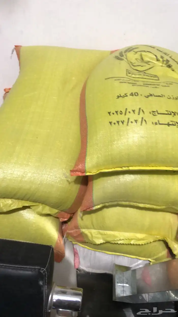 علف حمام خيشه اكل علف اعلاف طيور الشارع 1