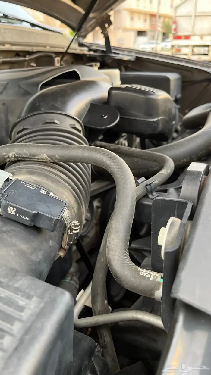 جميس يوكن 2012 قمة في النظافة 64