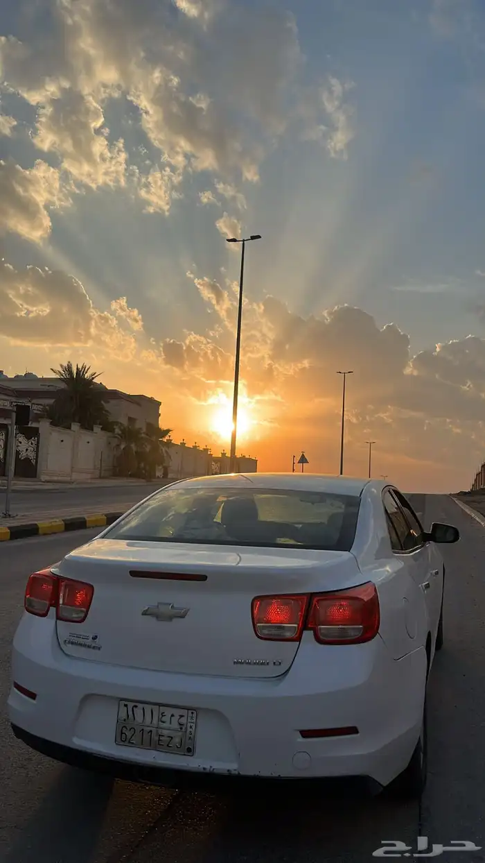 ماليبوا2016 7