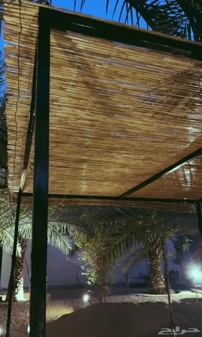 خشب الخيزران للمظلات والزينه 5