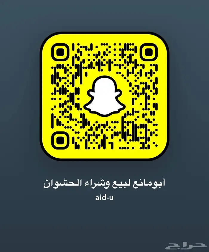 يتوفر حشوان مناسبات ومبادي جميع الاحجام 0