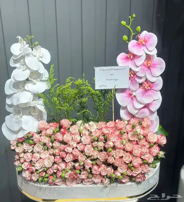 هديه 6