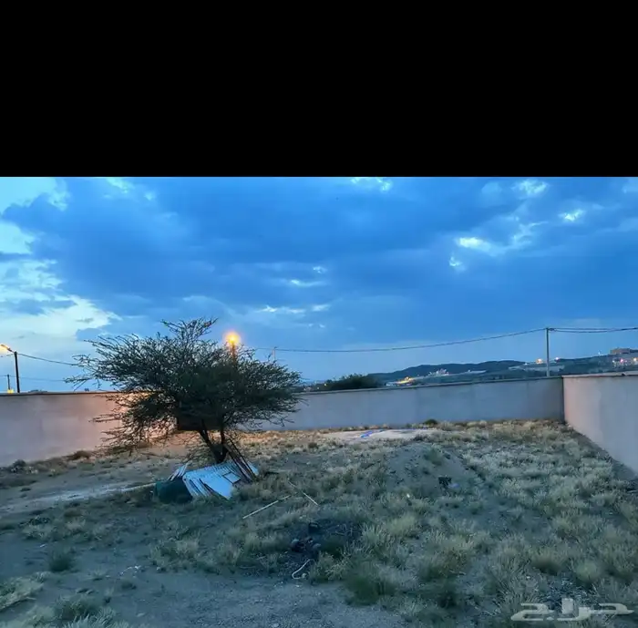 ادخل واقر تفاصيل الإعلان 0