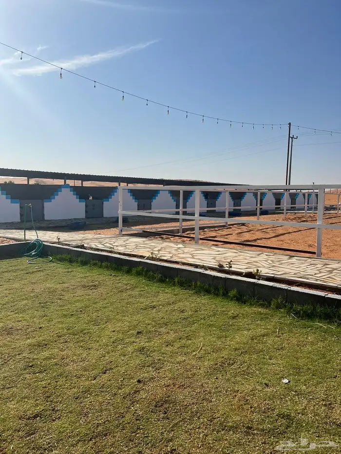 مربط خيل ايواء عسف تدريب 0