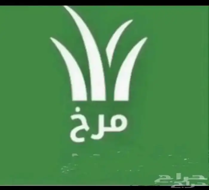 مرخ وسلع وحجر مضبي حجر مروو المونسيه 1