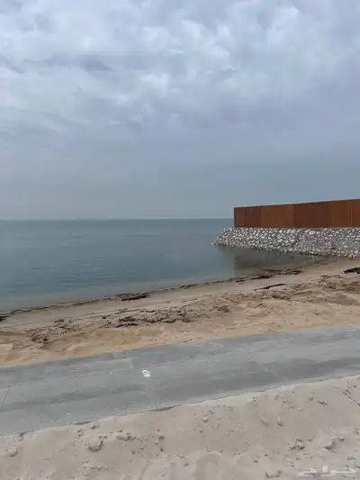 ارصفه وربراب بحري 0