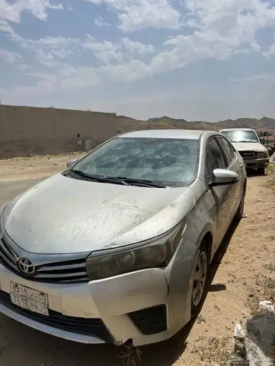 كورلا 2015 1