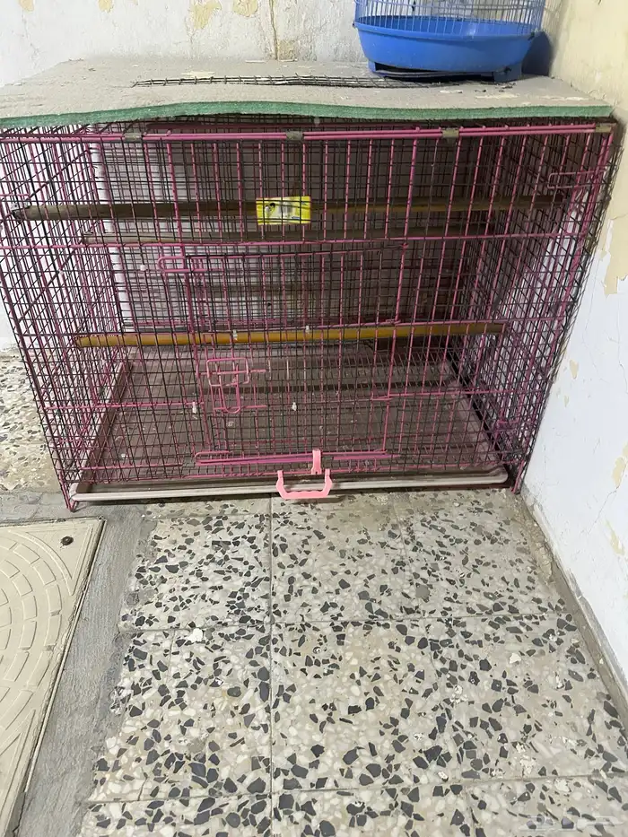 ثلاث اقفاصه للبيع قفص قطط قفصين بغباء 0