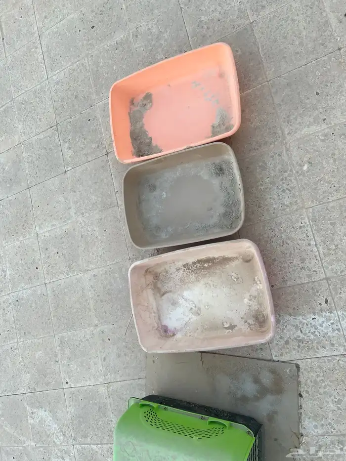 للبيع مستلزمات قطط 0