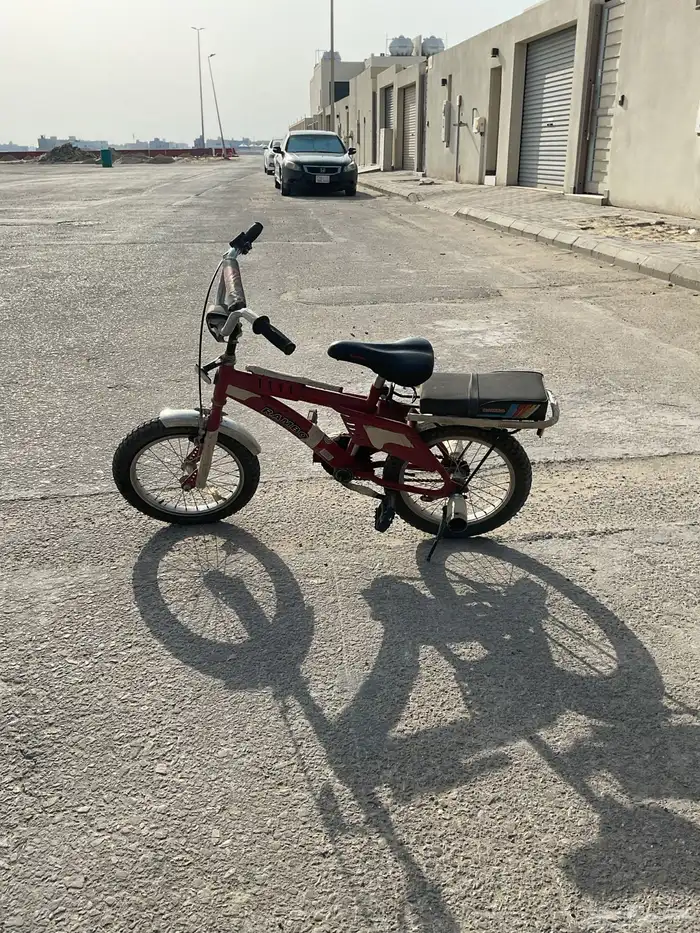 سيكل رامبو عنابي 2