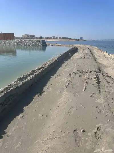 ارصفه وربراب بحري 2