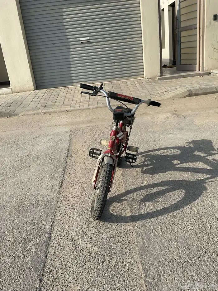 سيكل رامبو عنابي 4