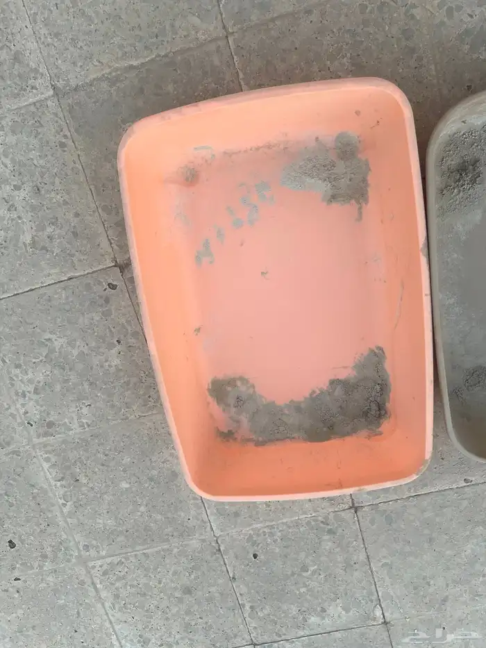 للبيع مستلزمات قطط 3