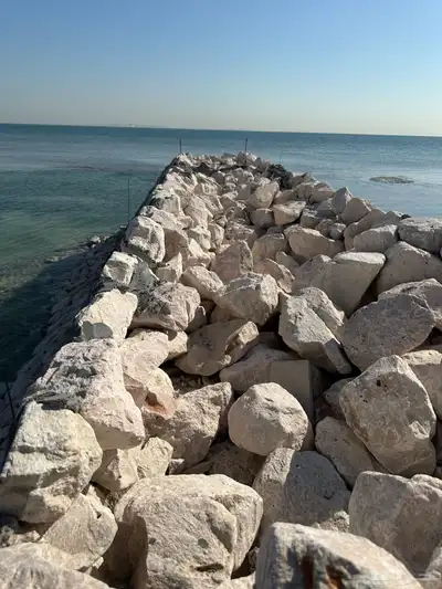 ارصفه وربراب بحري 8