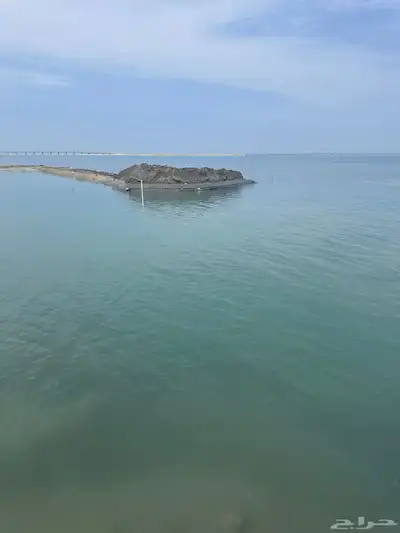 ارصفه وربراب بحري 1