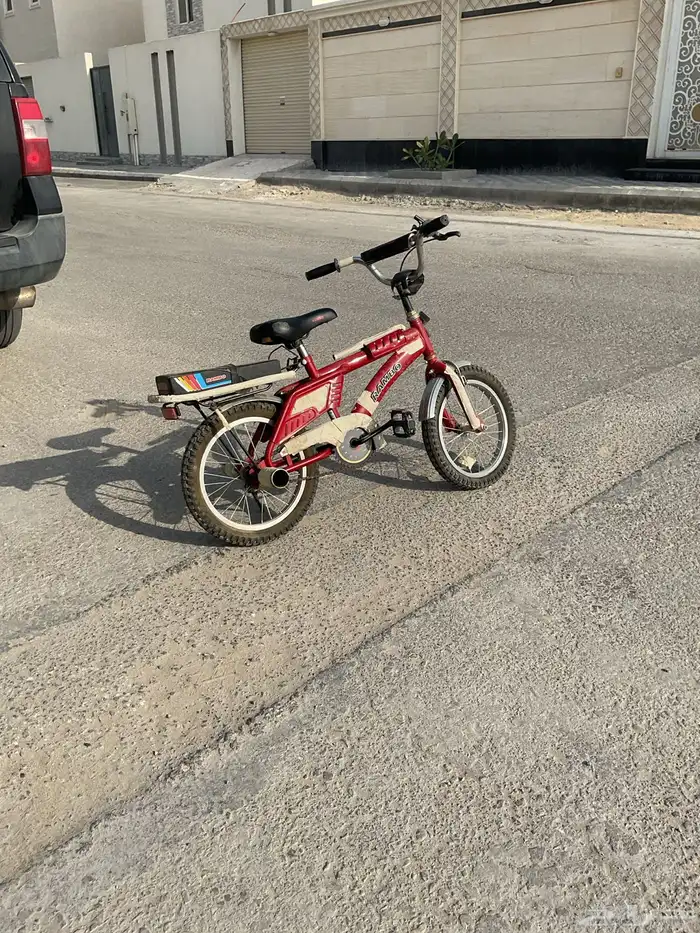 سيكل رامبو عنابي 3