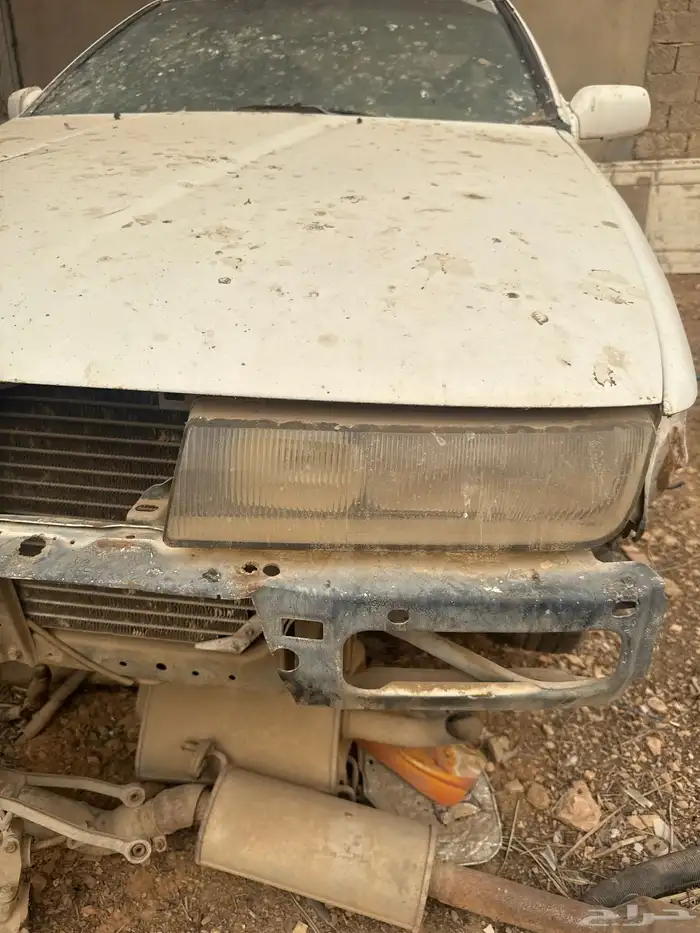 التيما 1991 1
