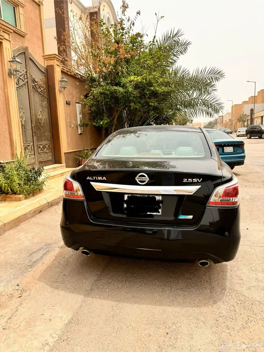 التيما 2014 2