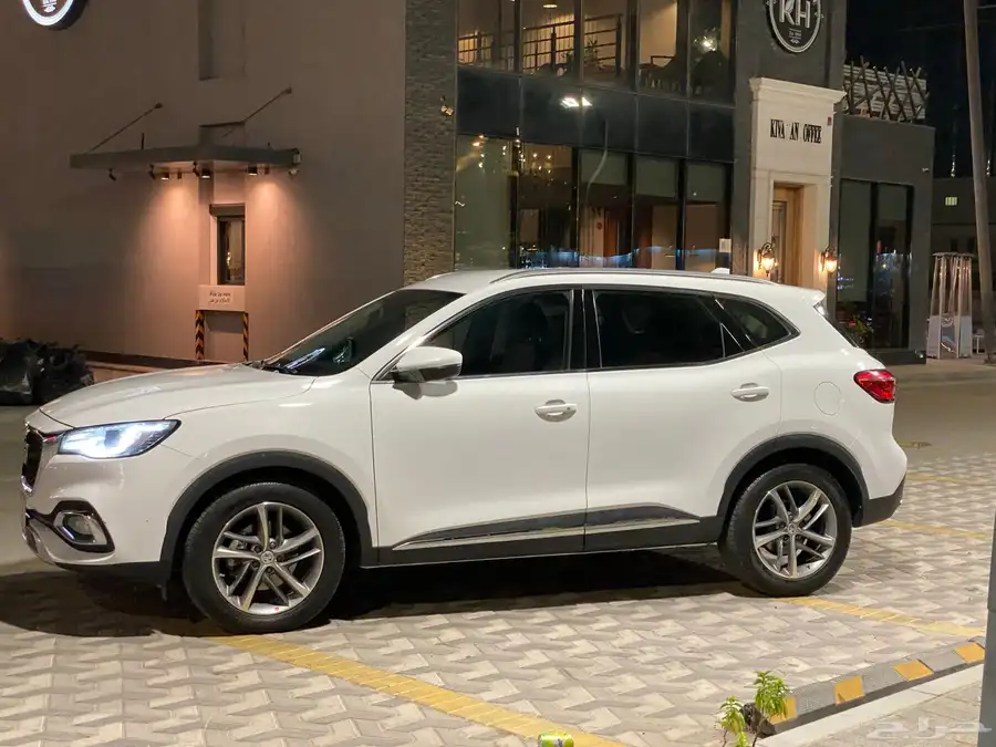 MG 2020 HS30T 11