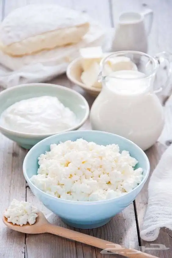 كفير الماده الاكثر صحيه بكتيريا النافعه الفطر الهندي 0