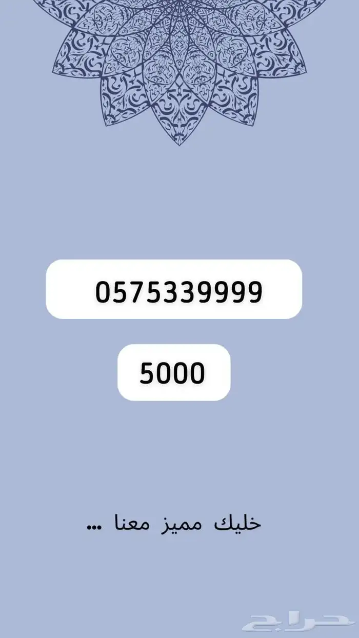 ارقام مميرة 45