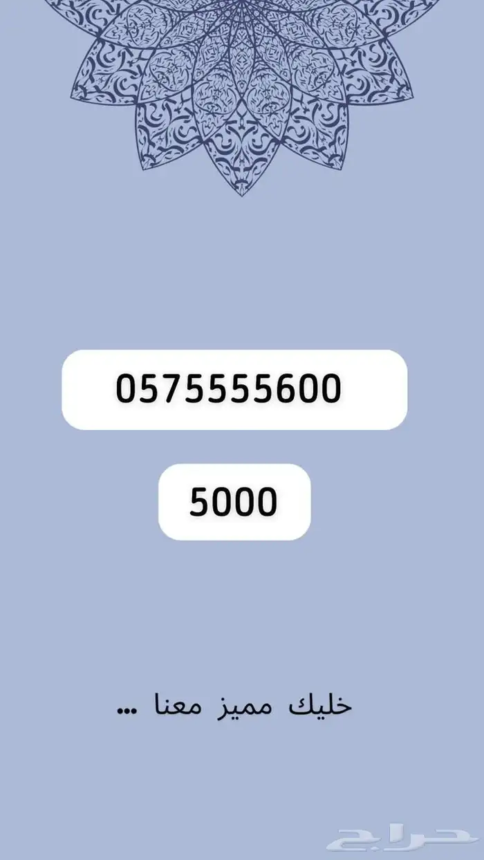 ارقام مميرة 49