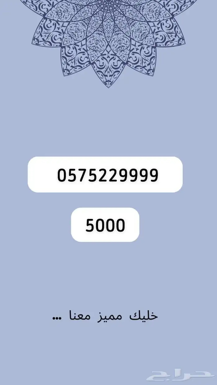 ارقام مميرة 42