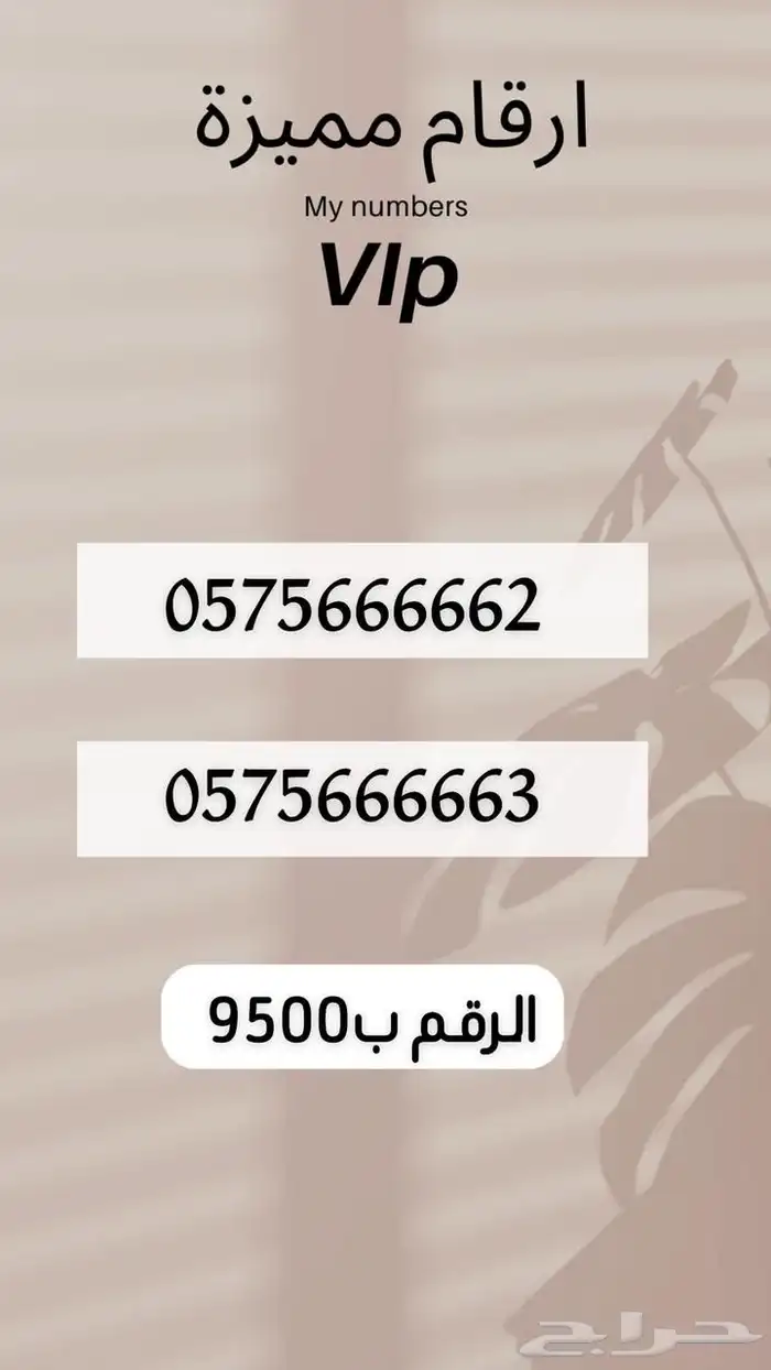 ارقام مميرة 20