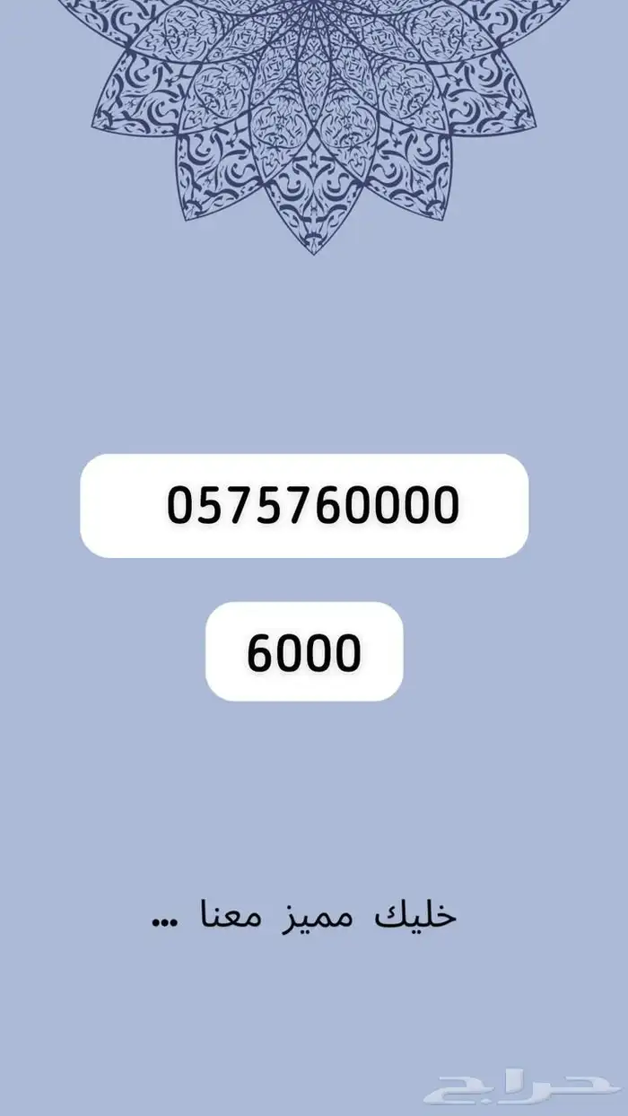 ارقام مميرة 13